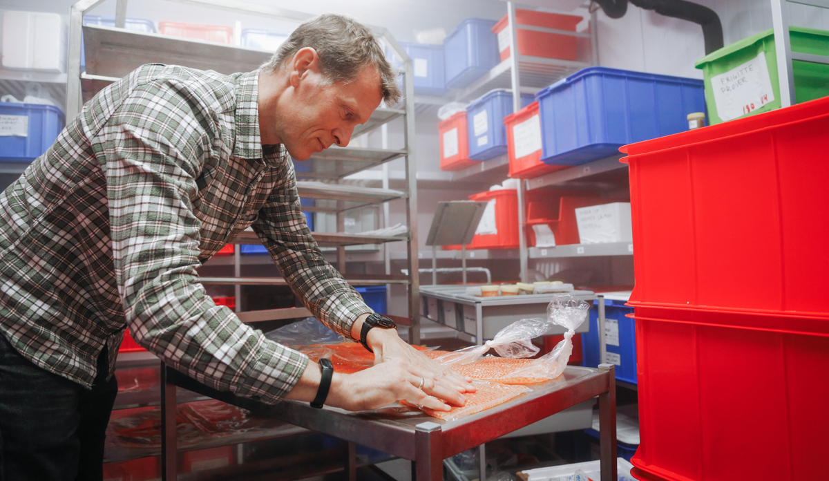 Pukkellaks rogn som mat. Kan det spises? Bilder av en forsker som fryser rogn i vakuumposer