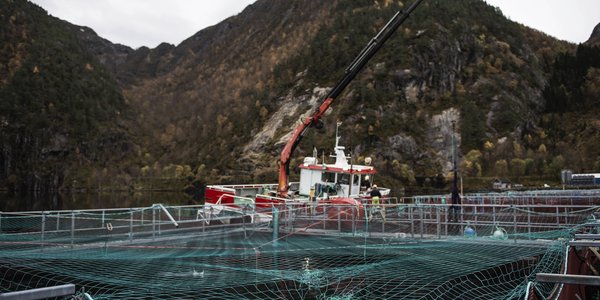 

arbeidsbåt foran merd