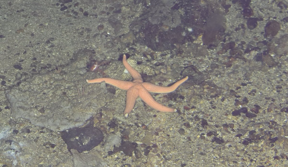 
20220624 Capture N7 Sat Camera 20220624 233008