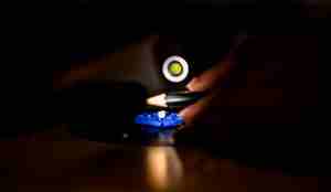 Otolittene leses i mikroskop.