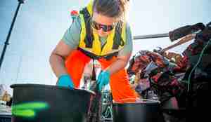 Røkter fordeler mat fra to bøtter.