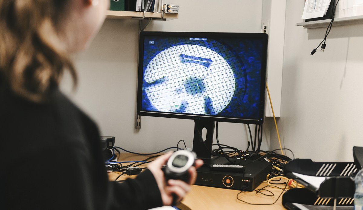 En forsker ser på en dataskjerm som viser fisk i en tunell