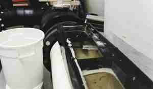 Fisk i en svømmetunnel