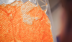 Pukkellaks rogn som mat. Kan det spises? Bilder av rogna i vakummpakket poser på vei til frysing