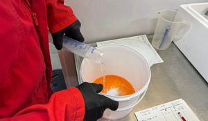 Vokser pukkellaks fortere enn oppdrettslaks? Er pukkellaks en god matfisk?