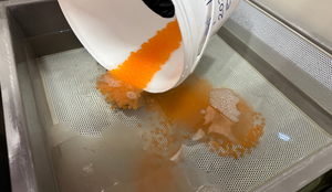 Vokser pukkellaks fortere enn oppdrettslaks? Er pukkellaks en god matfisk? 