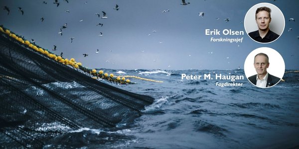 

Et bilde av havet og fiske. Havet rommer mange utfordringer, men også mange løsninger.