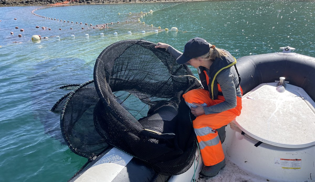 foto av kvinne i båt som holder en ruse