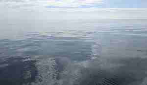 Blikkstille hav i Nordsjøen