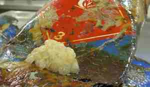 En rusten oljetønne med havsnigleegg