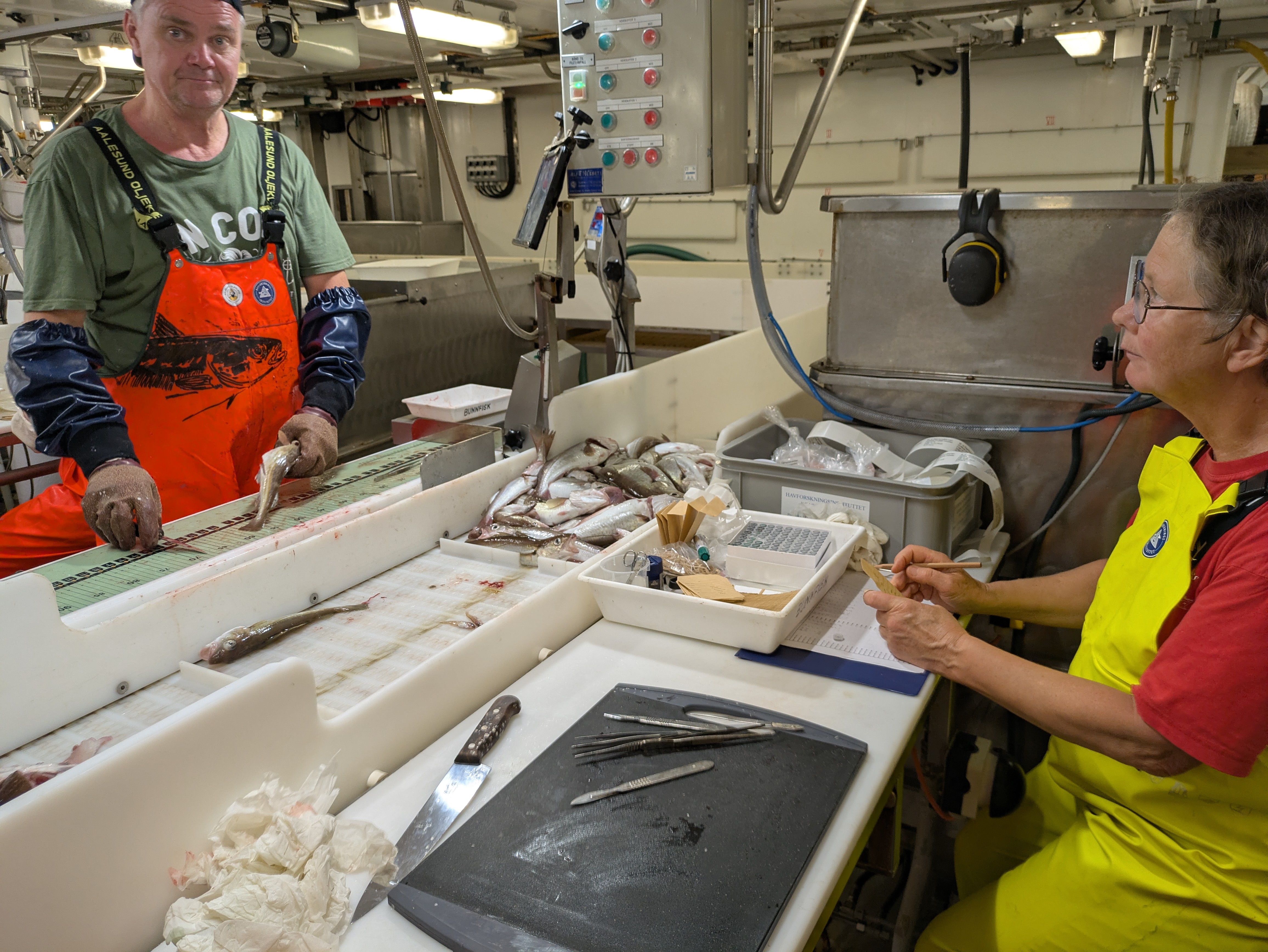 En mann og en kvinne sitter på hver sin side av et sorteringsbord på et forskningsfartøy. 