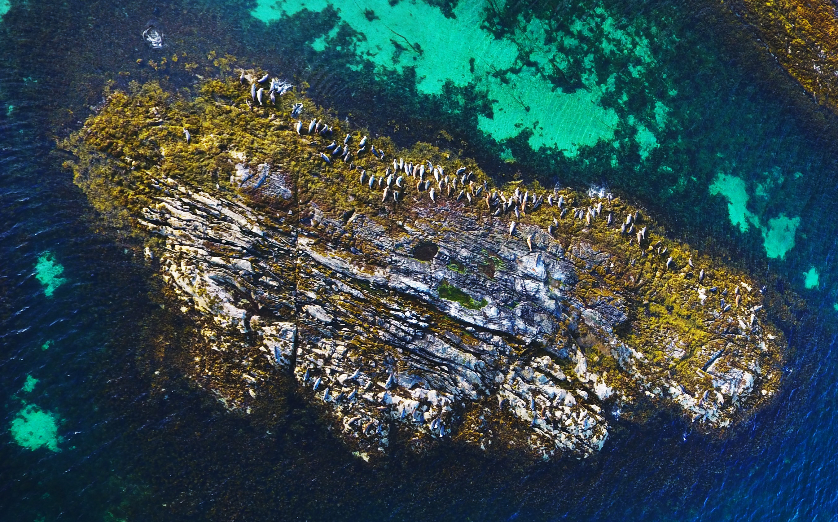 flyfoto av skjær med steinkobber oppå