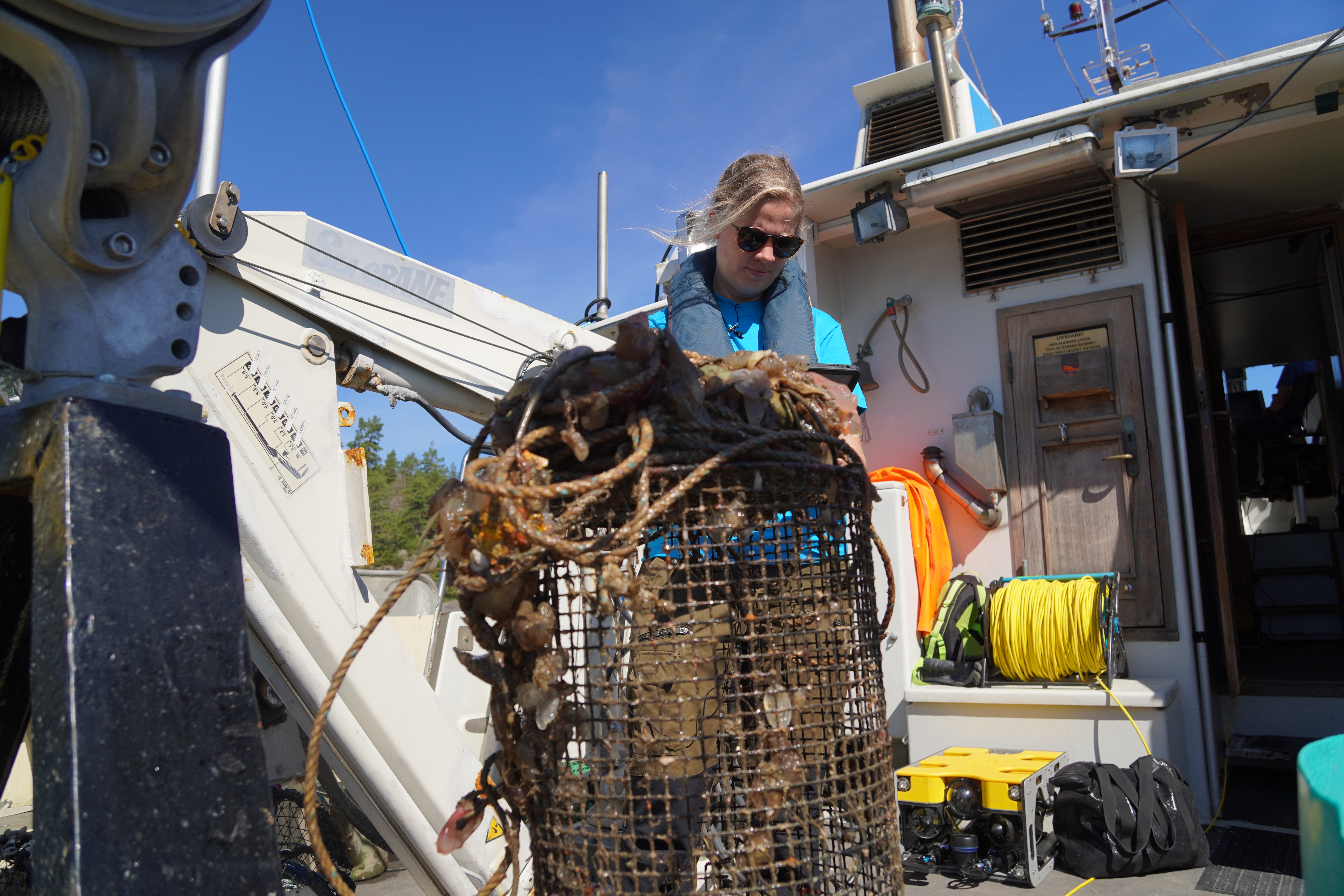 Forsker Susanna Huneide Thorbjørnsen studerer en tapt teine for å finne ut hva som har skjedd. 