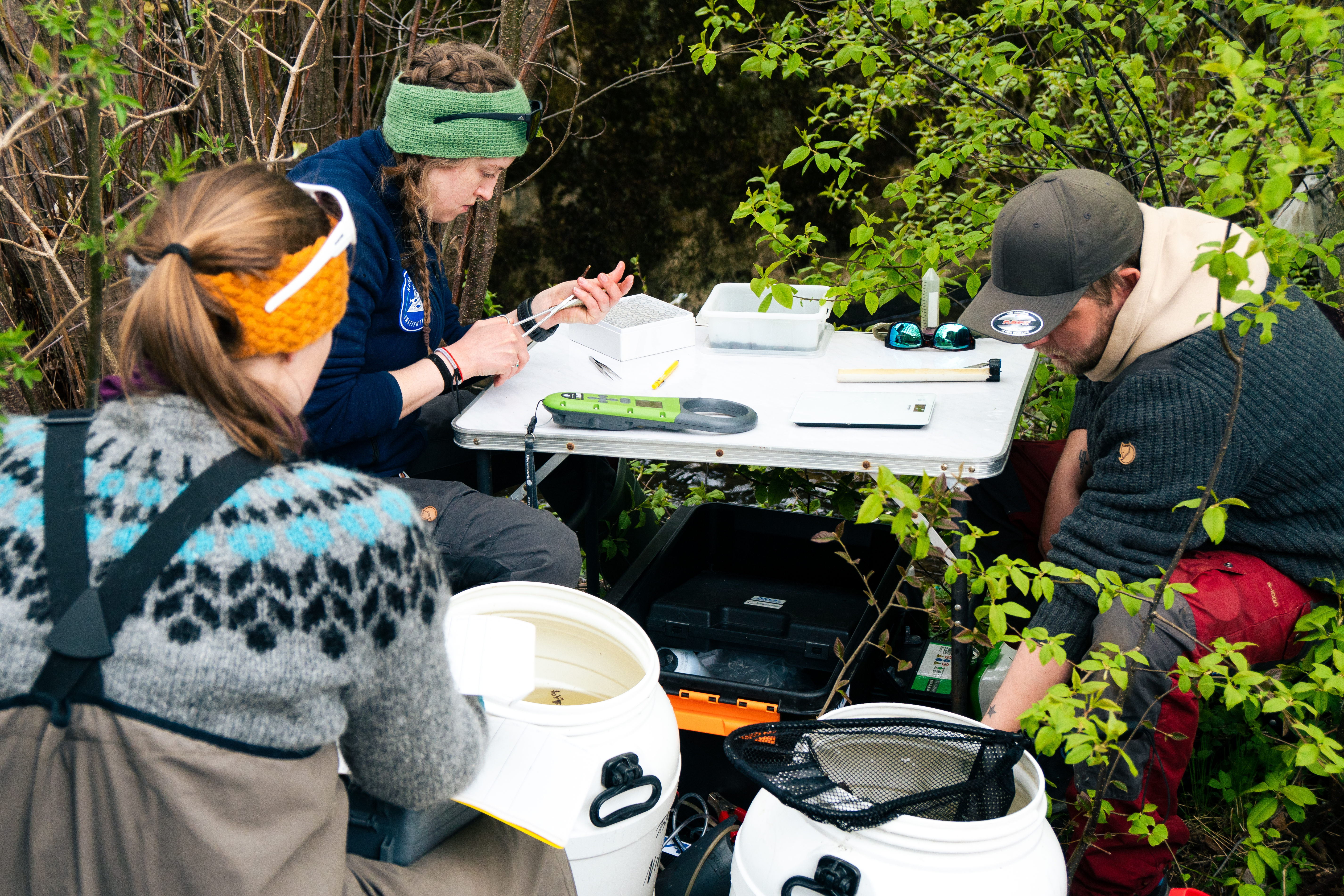 Konsentrert arbeid i felt