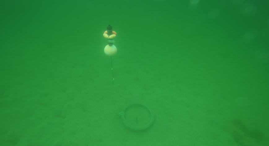 Telemetry rig used to map fish movements