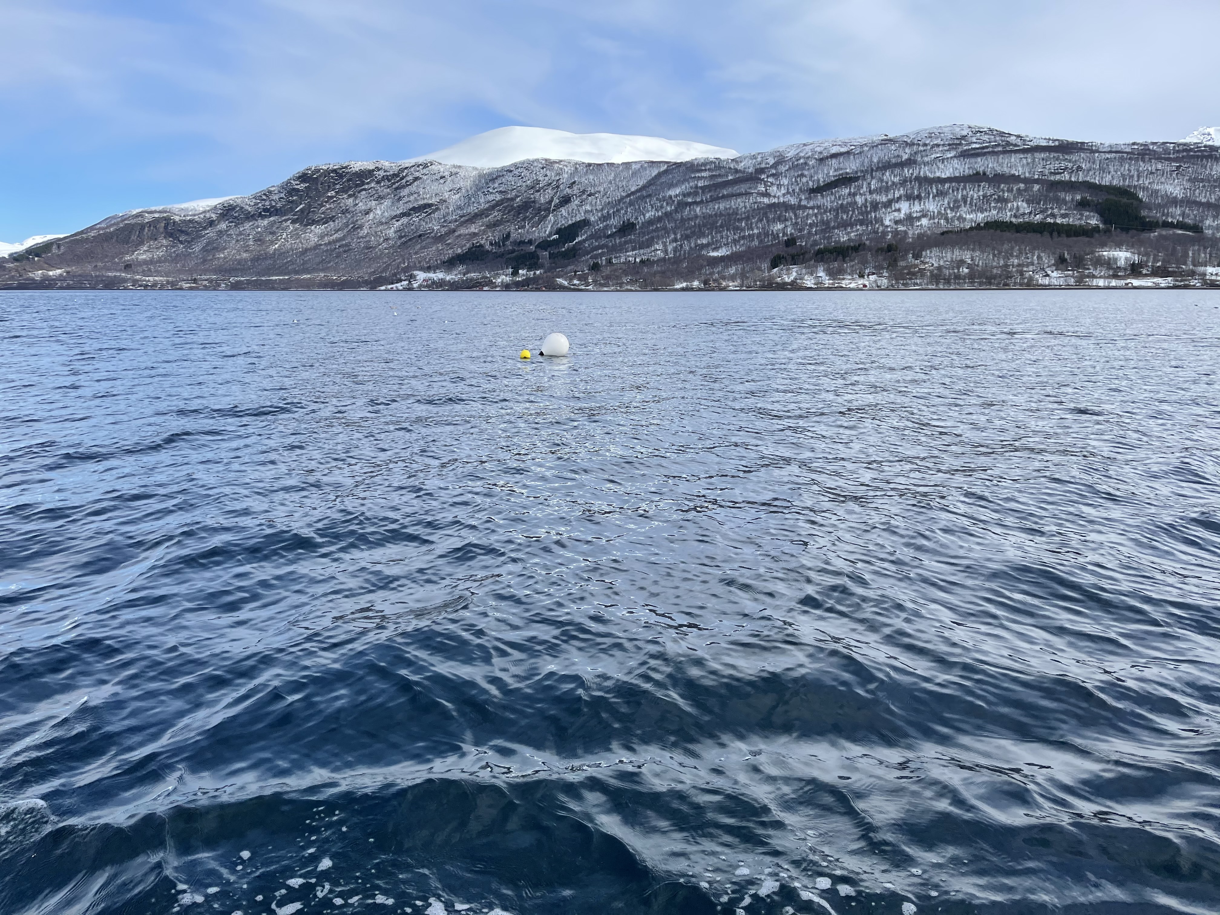 En hvis bøye midt ute på fjorden. Snøkledde fjell i bakgrunnen.
