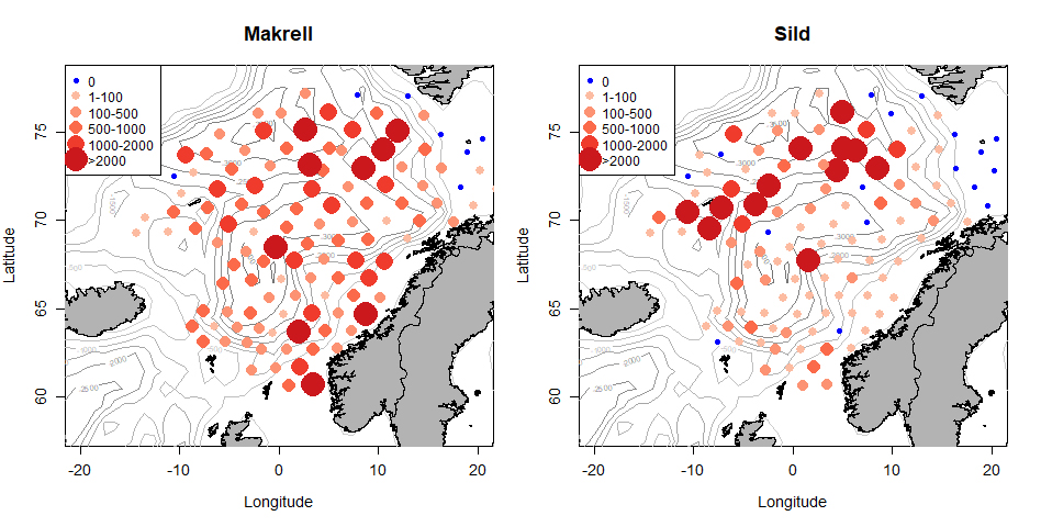 Fordeling av makrell og sildefangster