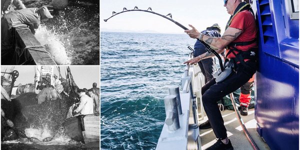 


Montasje med bilder av landing av makrellstørje i 1957 og i dag.