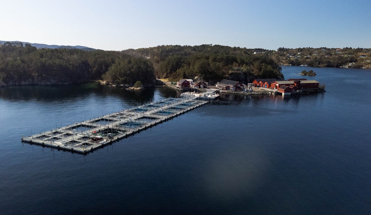 
Forskningsstasjon med sjøanlegg på Sauganeset i Austevoll