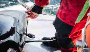 Merkene festes med to raske stikk