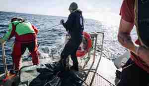 Klart for landing av monstermakrellen