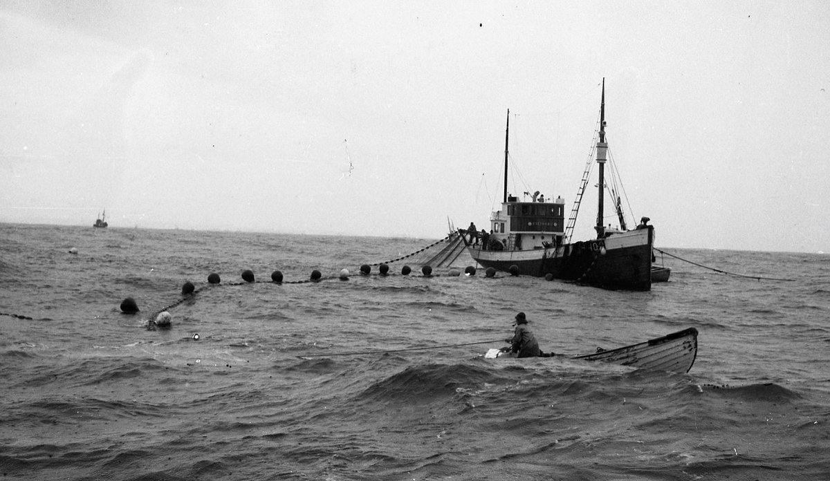 Størja måtte trenges med not