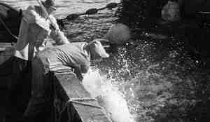 Det plasker godt i vannet