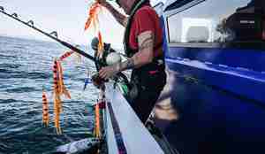 Og de får fisken inn til båten