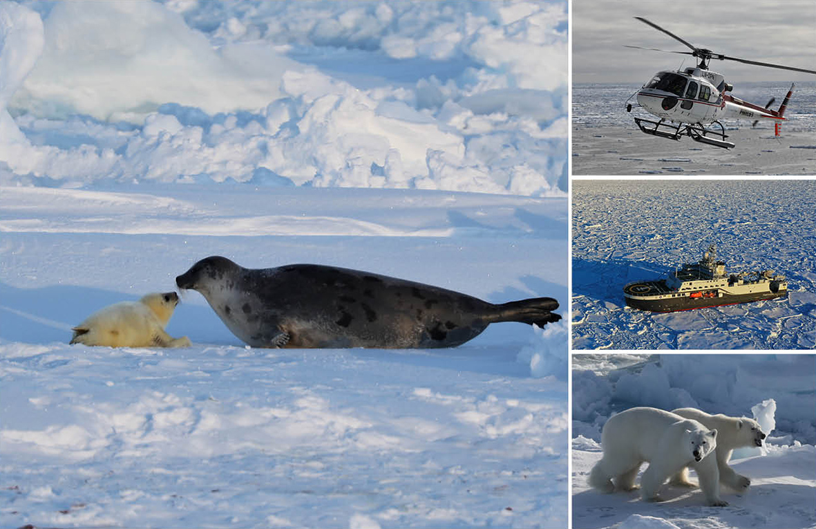 
Fotomontasje fra Vesterisen