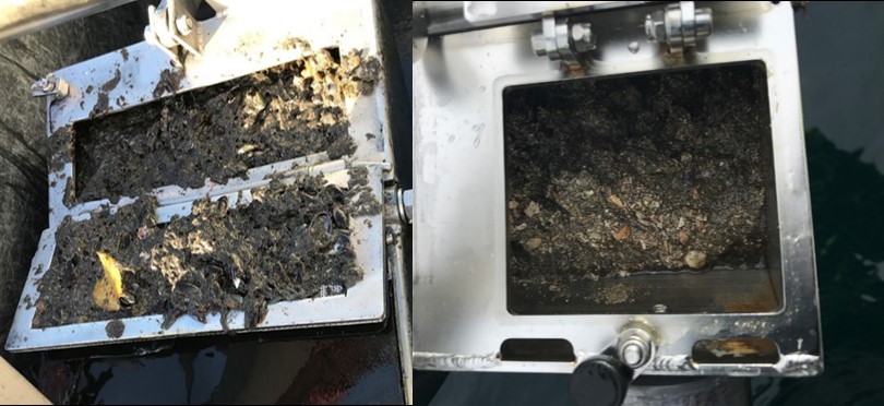 Grab med sedimentprøver