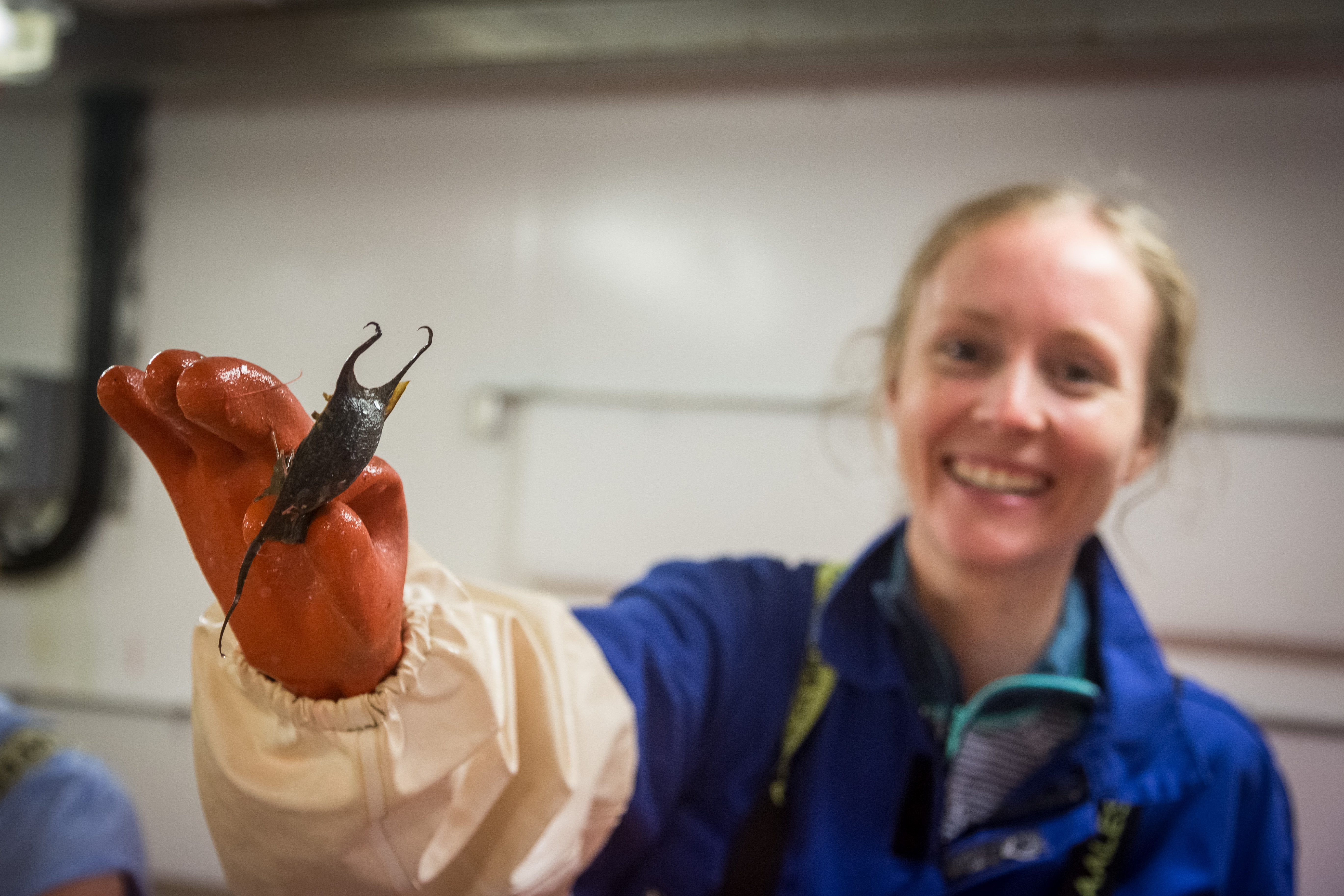 Smilende kvinne holder oppskate-formet skate eggkapsel.