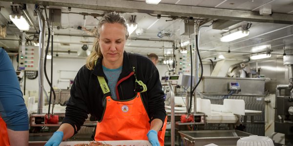 

Nærbilde av rekehode