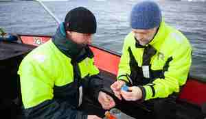 To menn holder en spekkprøve i hendene, ute i båt, isfjell i bakgrunnen