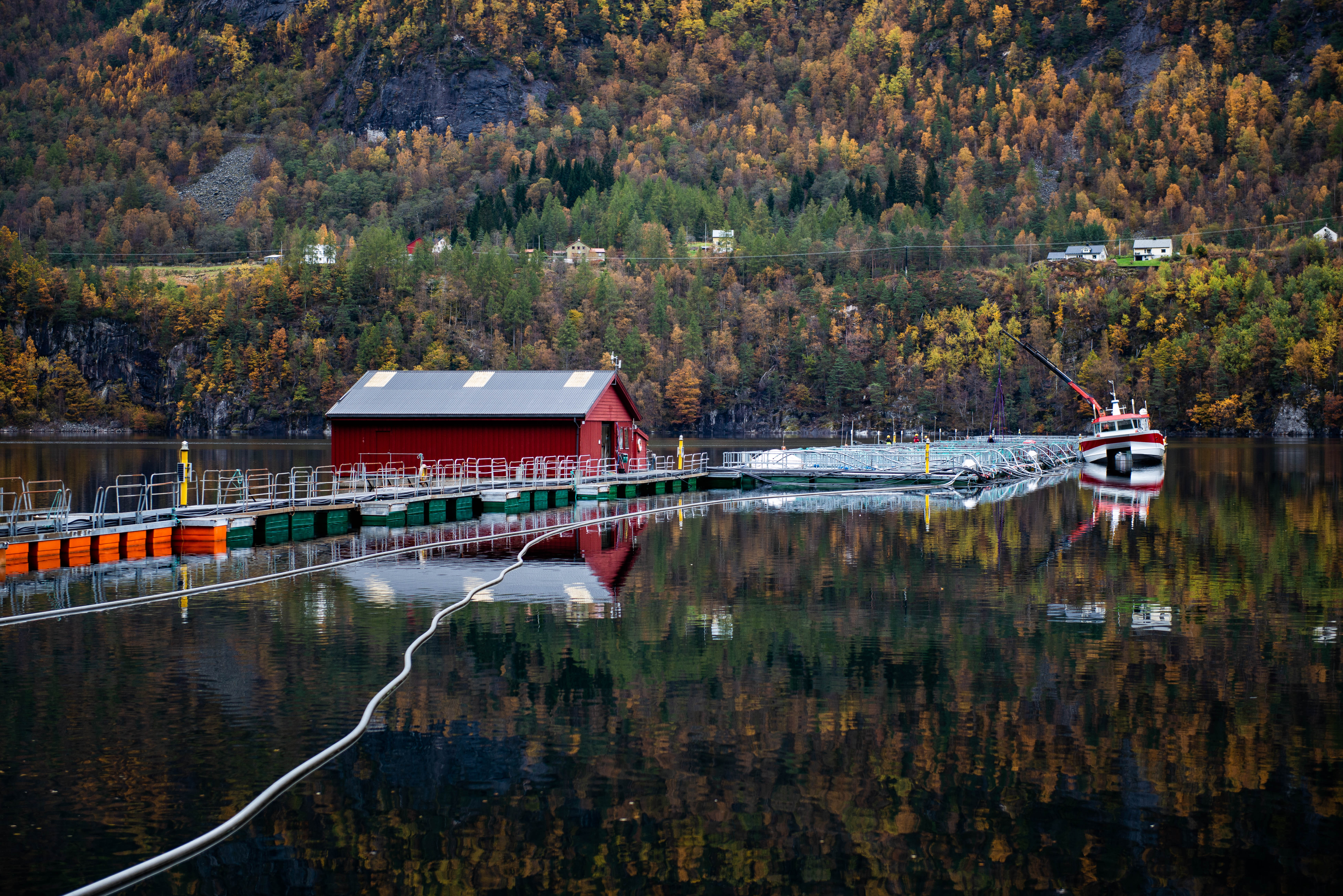 A marine farm with severeal sea cages and a red building. A crane boat lies next to the marine farm.