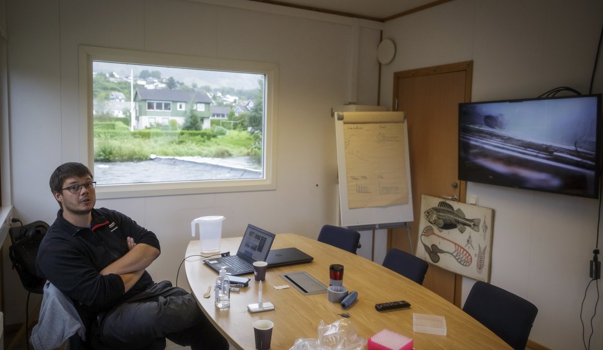 foto av person som sitter i et rom