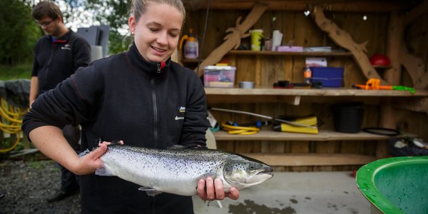 

foto av tekniker med oppdrettslaks