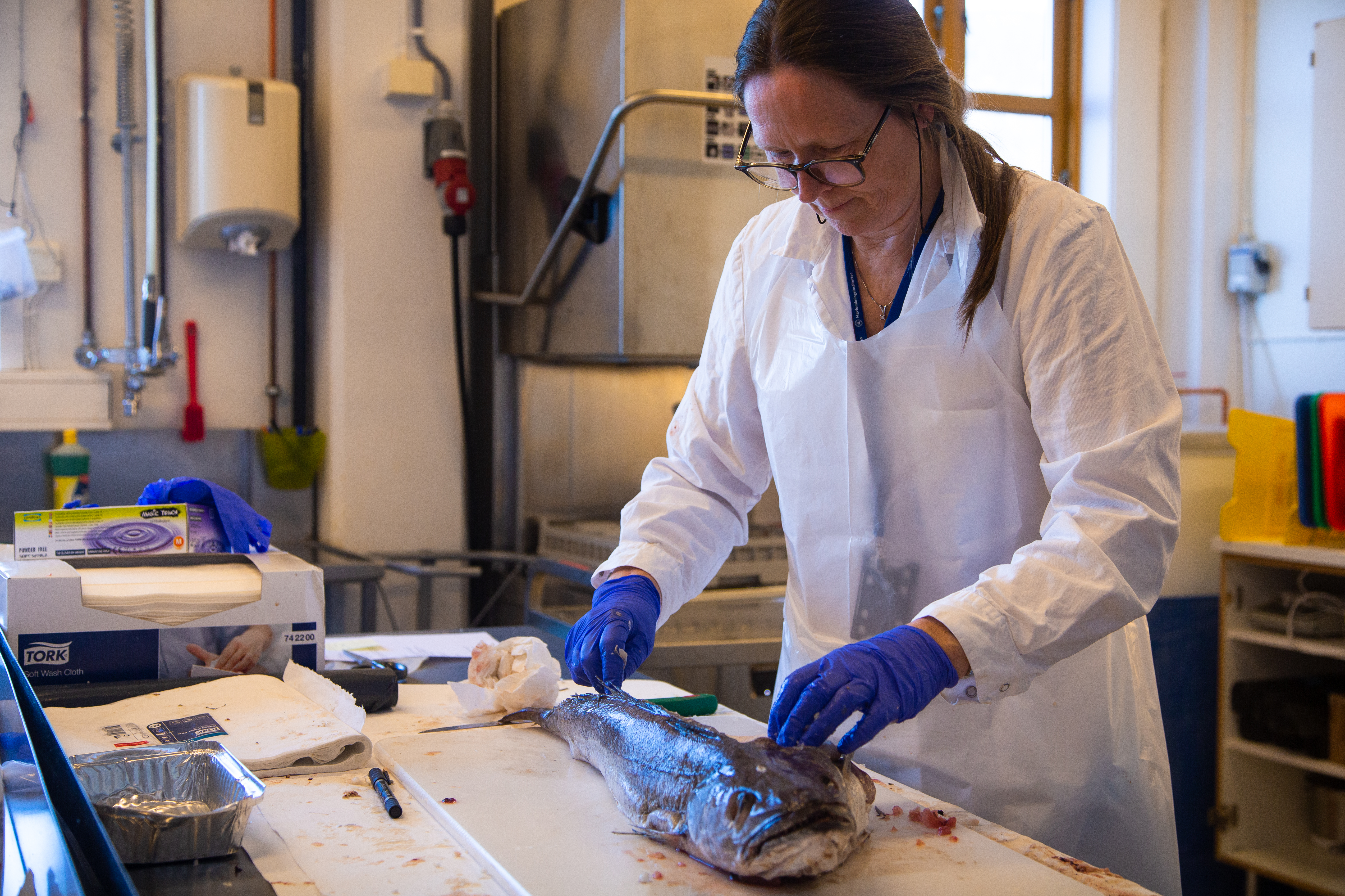 kvinne skjærer opp fisk