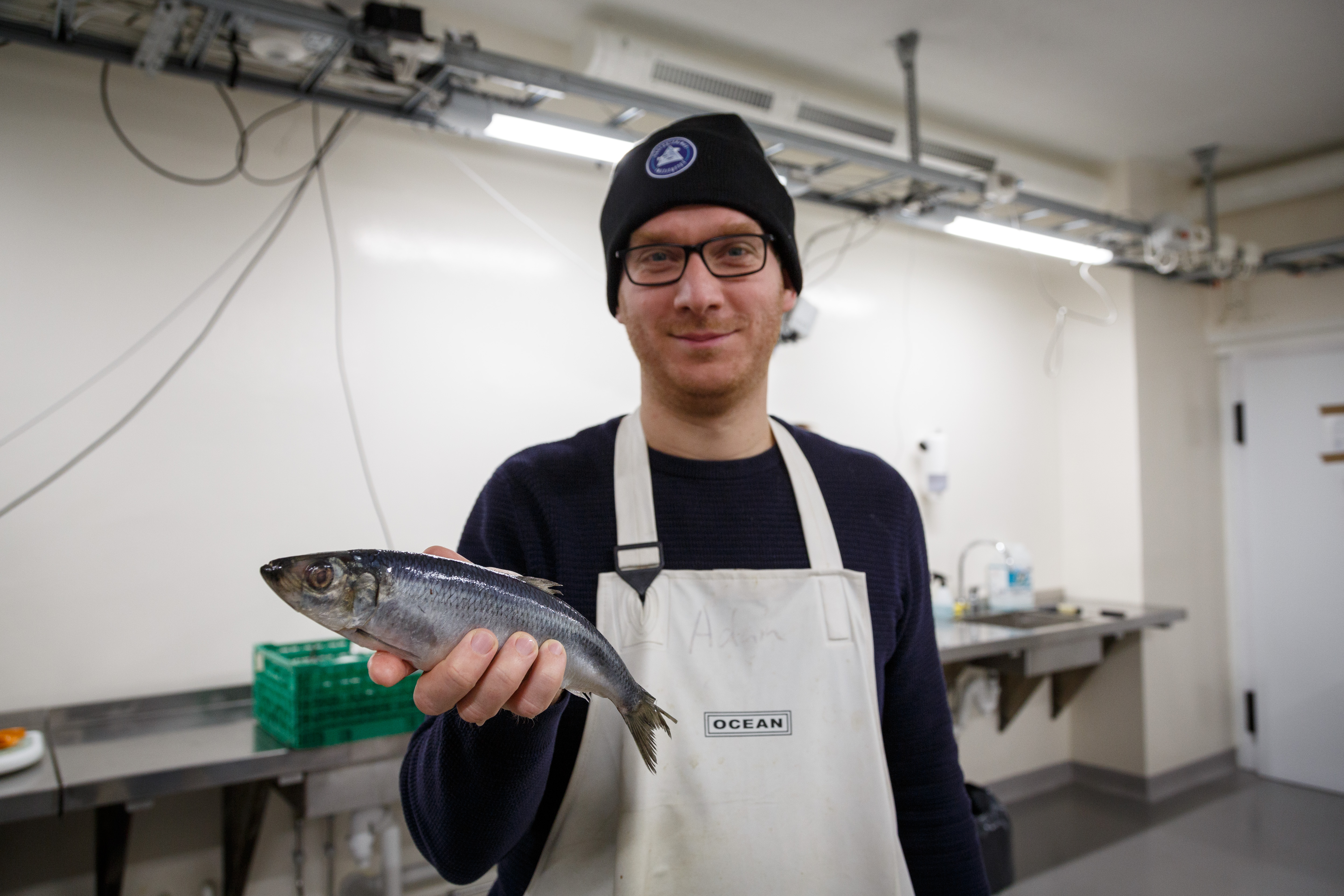 smilende mann i labfrakk holder frem en sild mot kamera