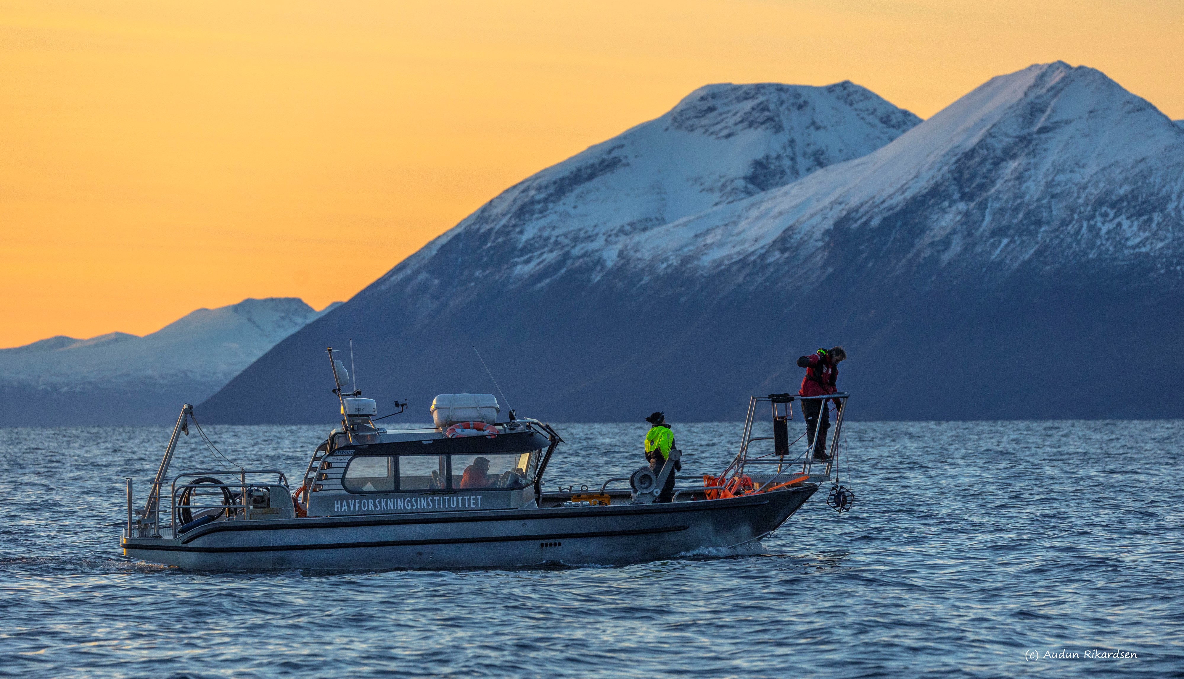 Småbåt med Havforskningsinstituttet skrevet på siden ipå sjøen med snøkledde fjell og oransje himmel i bakgrunnen. En person i styrehuset, og to personer på dekk. En av disse står i baugen og senker et apparat ned mot sjøen.