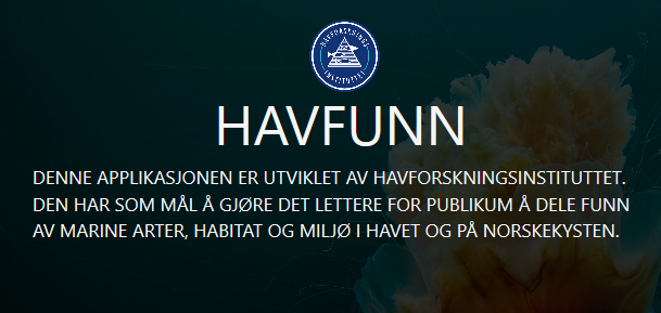 Logomateriell for havfunn.no