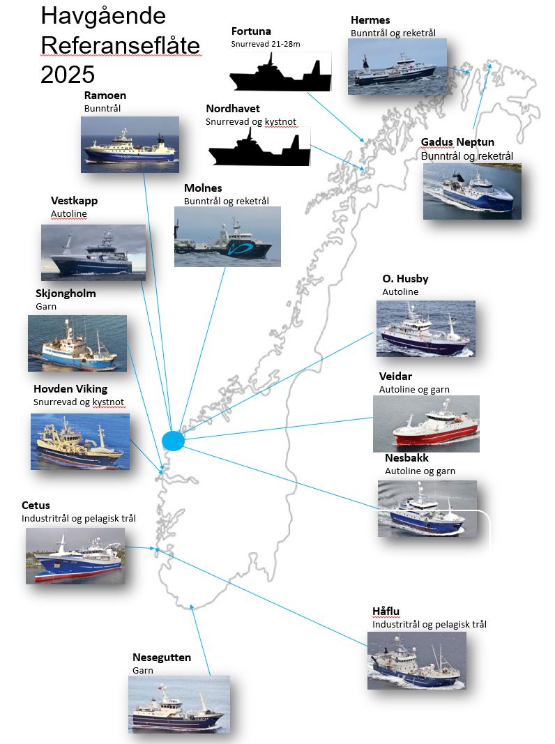 Bilde som viser fartøyene som er med i den havgående referanseflåten i 2025