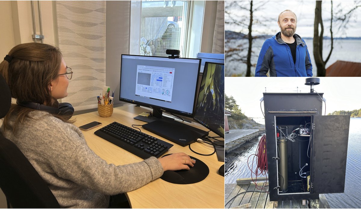 
montasje av tre bilder: En mann som smiler, en kvinne med PC og en boks med ledninger og utstyr