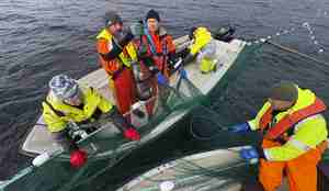 forskere og fiskere i en båt