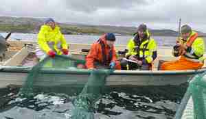 Fire menn i ein båt