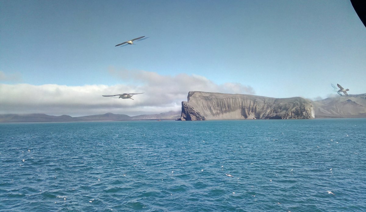 
IMG 20190804 103726 2