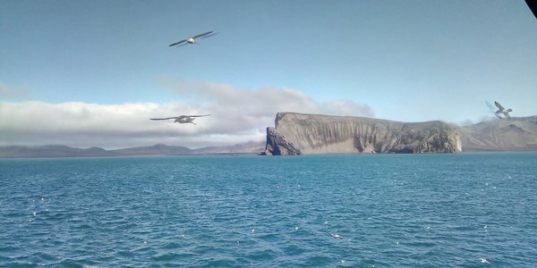 

IMG 20190804 103726 2