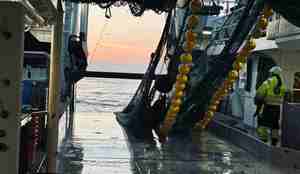 foto av trål som kommer opp