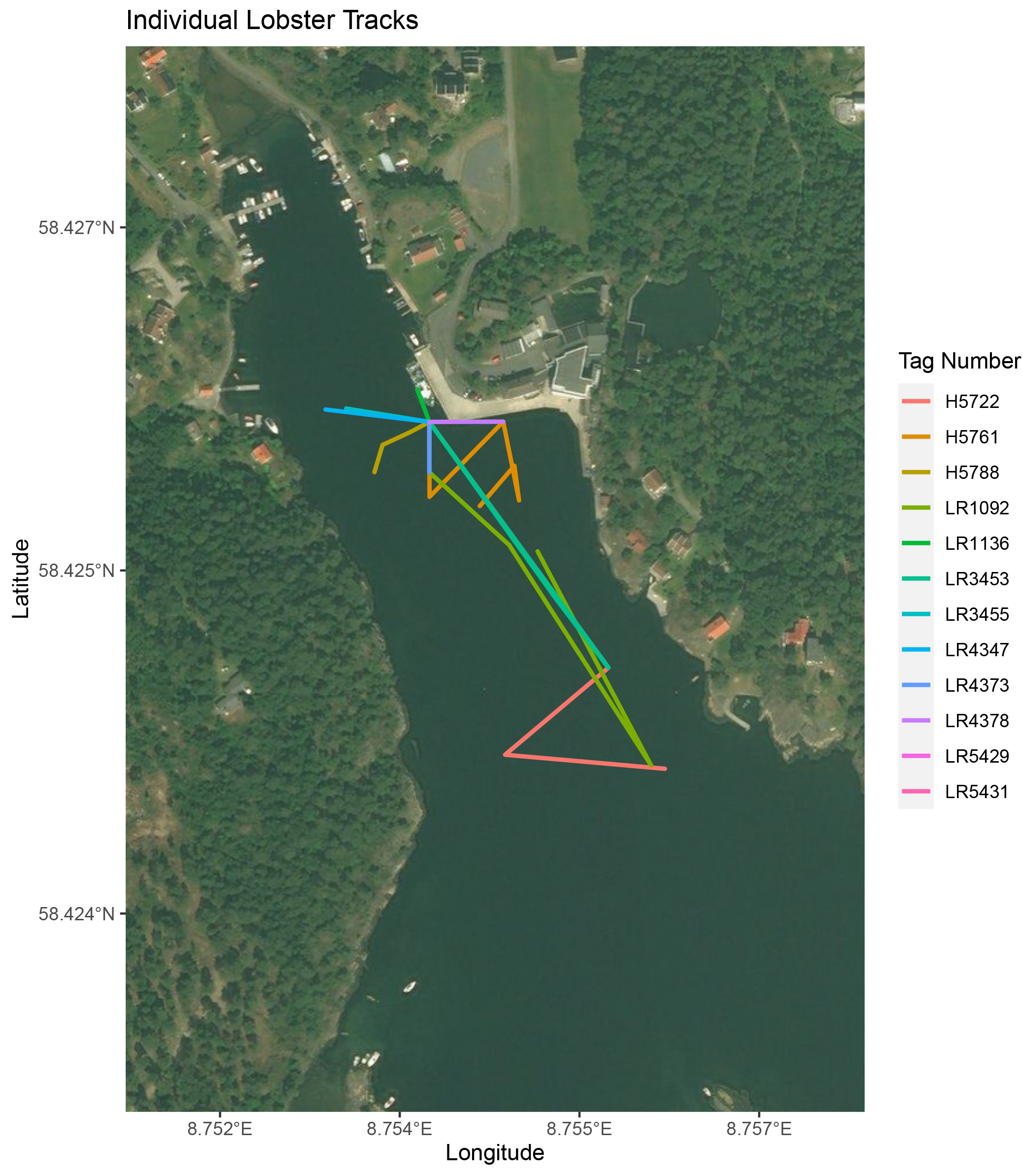 Kart som viser hvordan 12 hummere har beveget seg i hummerreservatet