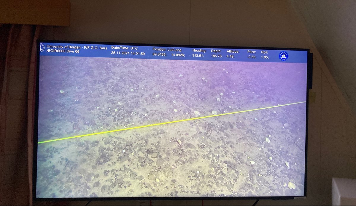 
Kabel gjenfunnet Foto HI