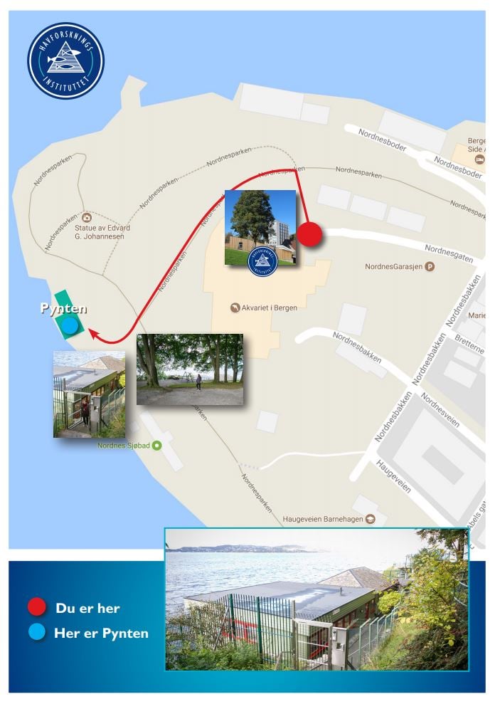 Kart som viser vei til lokalet på Pynten på Nordnes i Bergen.